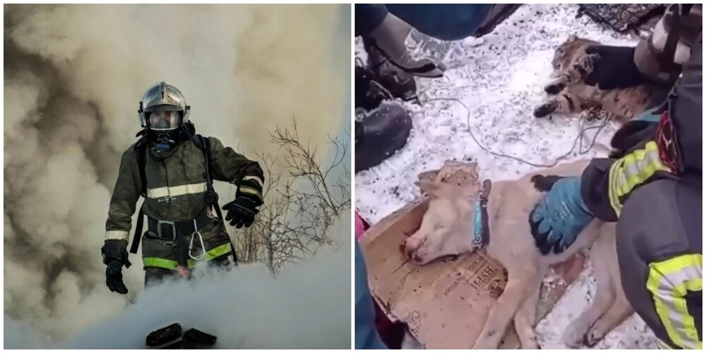 В Кузбассе пожарные спасли из огня женщину и её питомцев