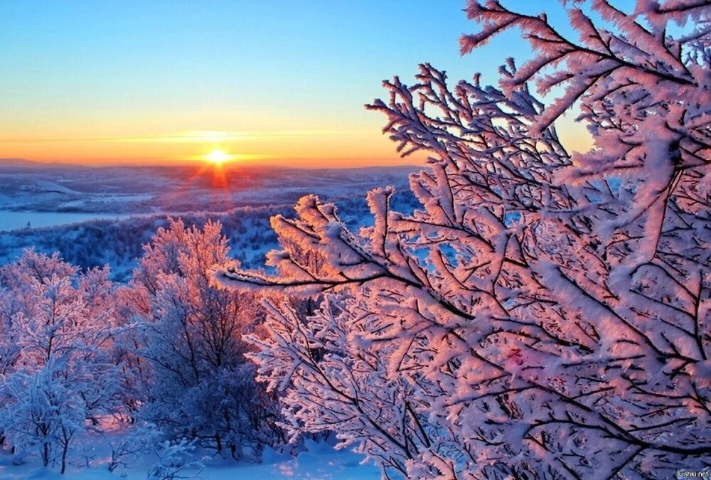 С добрым утром) 23 декабря, День Мины (Мина - Светлые очи, со святого Мины — ...
