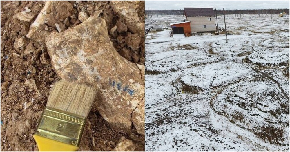 Останки неизвестных науке животных обнаружили в Якутии