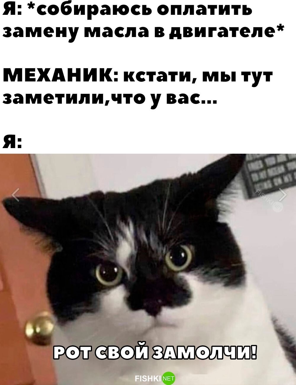 Сюрприз от механика