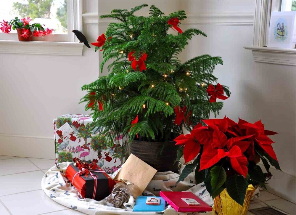 Новогодние и рождественские деревья в разных странах