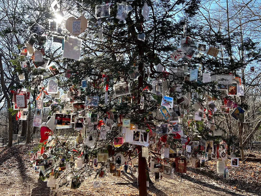 "Дерево памяти" в Нью-Йорке никого не оставляет равнодушным