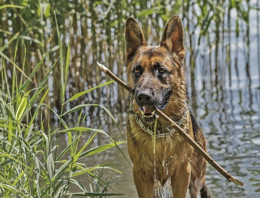 С добрым утром