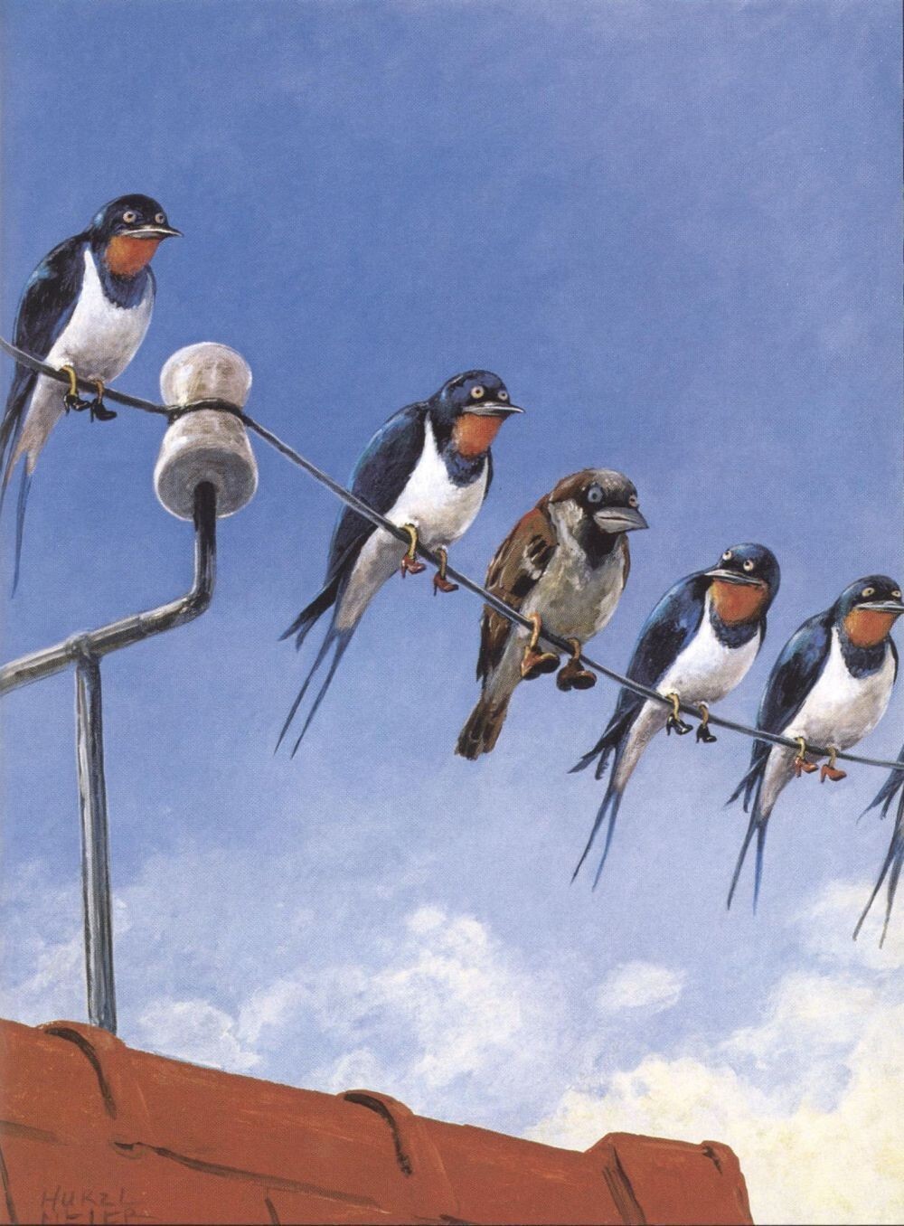 С юмором о сложном: люди, птицы и звери Руди Хурцльмайера