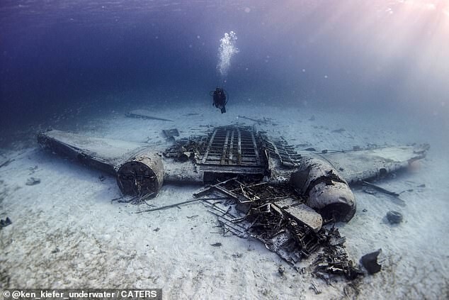 Дайверы сфотографировали «кокаиновый» самолет на дне Карибского моря