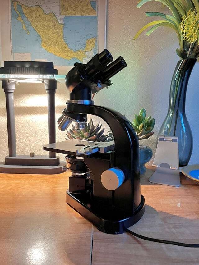 «Купил сегодня микроскоп Leitz всего за 30 долларов»