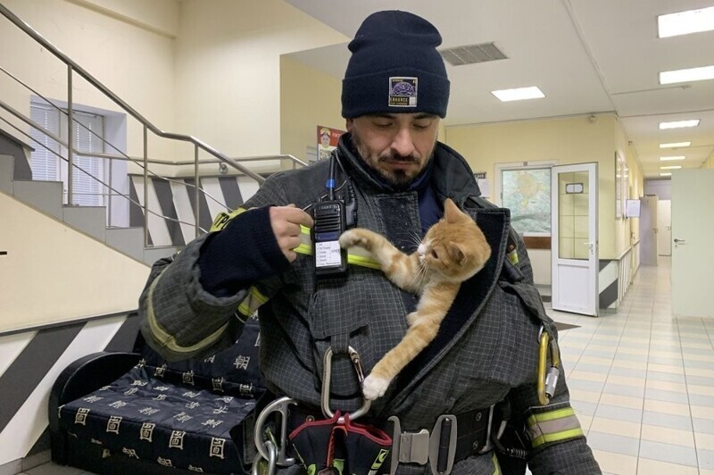 Истории спасения животных. Кому помогли московские спасатели в 2023 году
