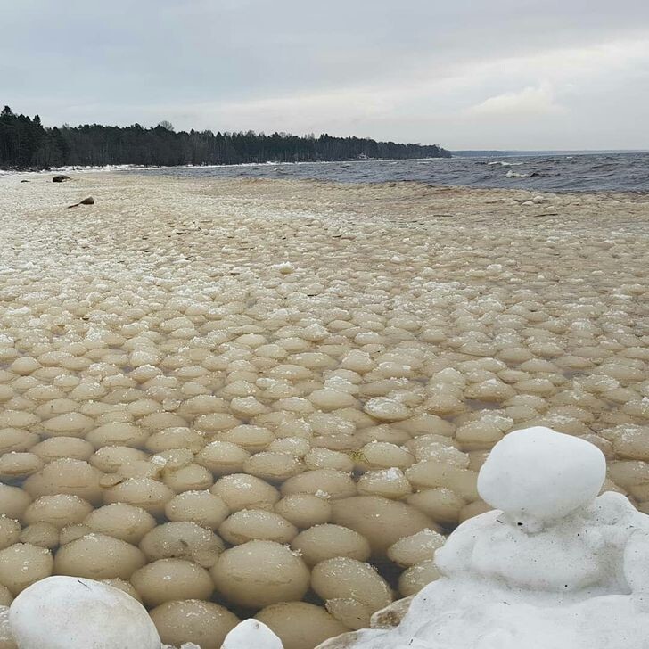14. Ледяные шары на берегу Финского залива