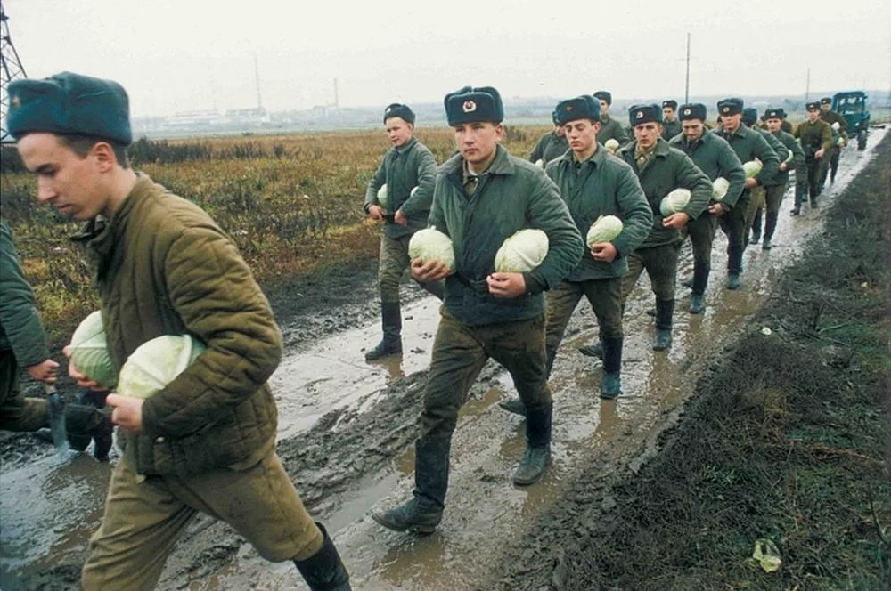 Солдаты с урожаем капусты, 1996 год