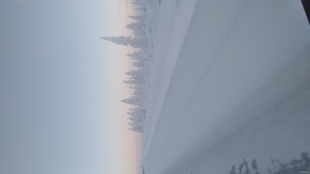 Всех с наступающим
