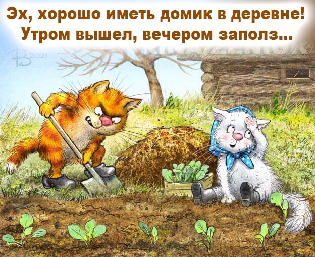 Коты минской художницы Ирины Зенюк. 2023 год
