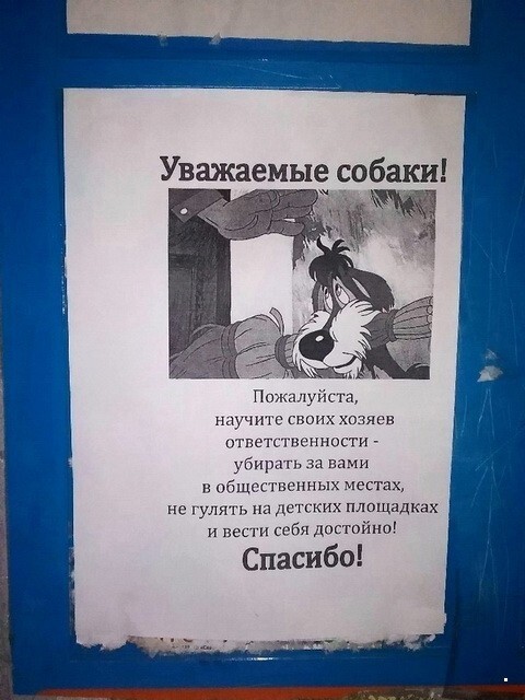 ФотоВсячина