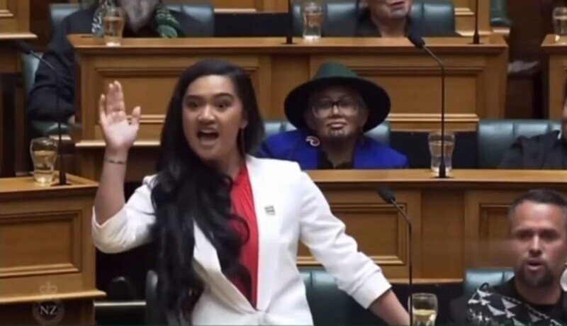 Пламенная речь самого молодого депутата парламента Новой Зеландии