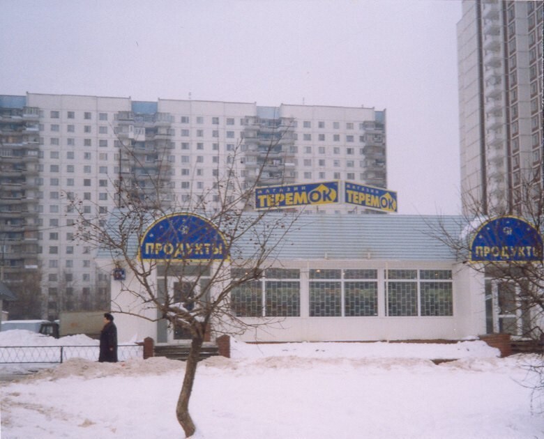 Ореховый бульв., д. 43а. Москва, 1999 год.