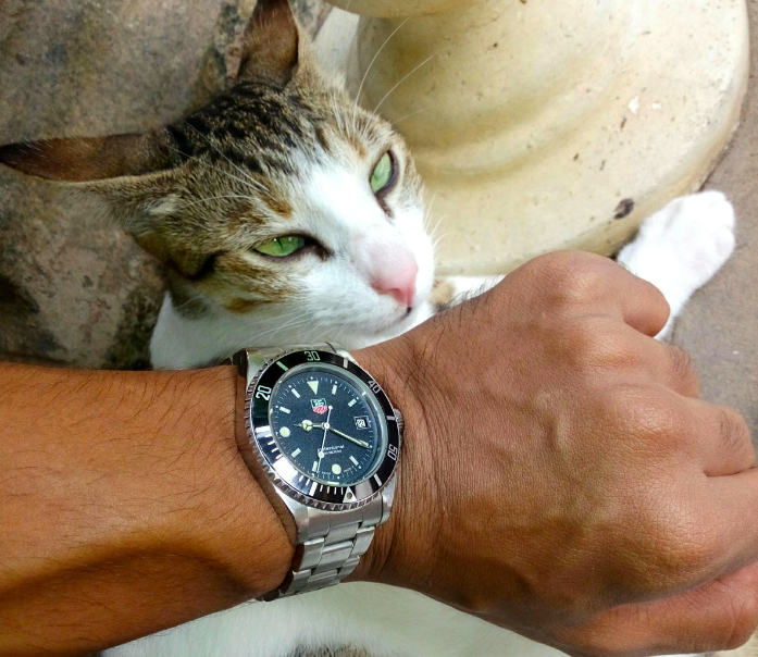 Котики и часы. Одно другому не мешает