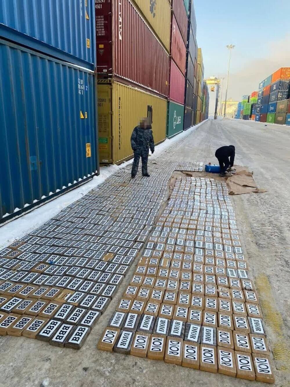 Более тонны кокаина обнаружили таможенники в порту Санкт-Петербурга