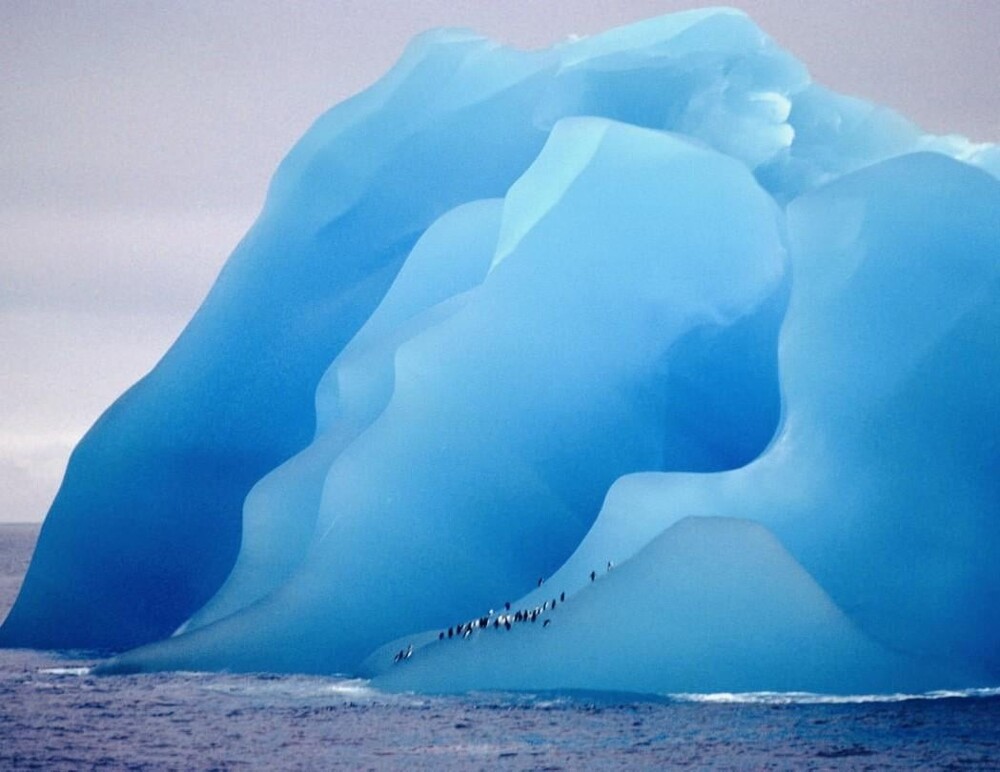 9. Оттенки айсберга 