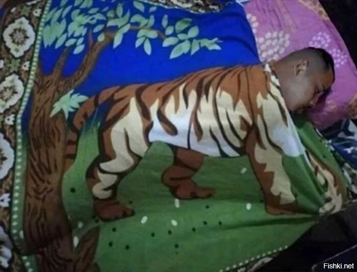 Когда мужчина - тигр в постели