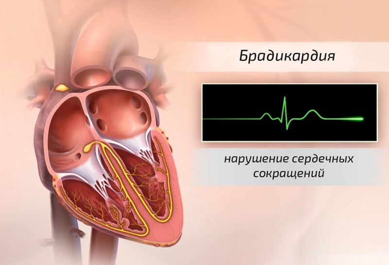 Молодой спортсмен планирует побить рекорд по самому медленному сердцебиению