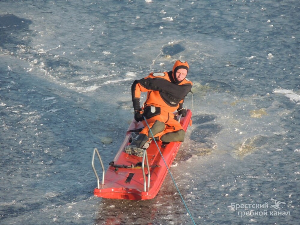 На Гребном канале в Бресте спасли лебедя, вмёрзшего в лёд