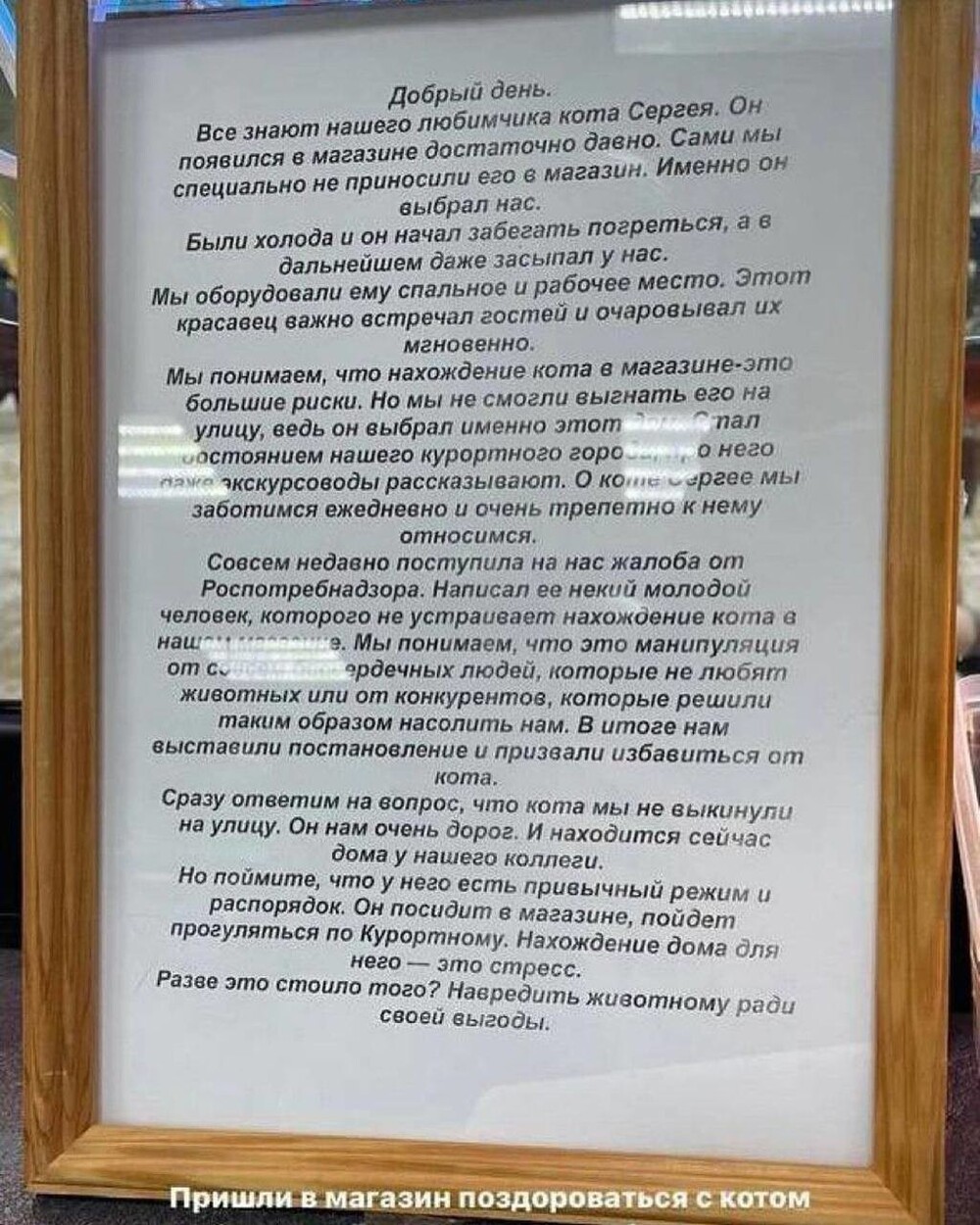 Кот из Санкт-Петербурга пригласил на работу кота, которого уволили в Зеленоградске