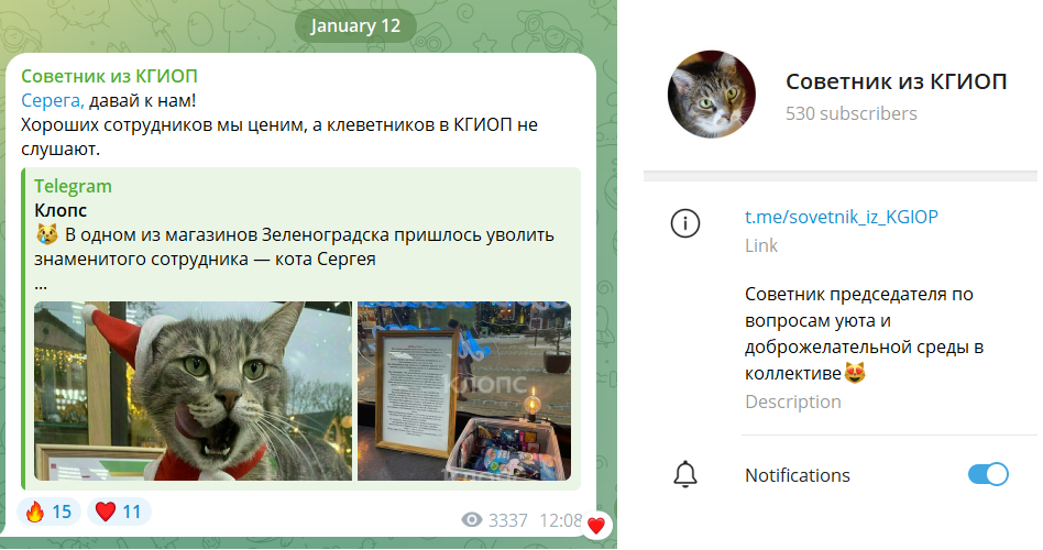 Кот из Санкт-Петербурга пригласил на работу кота, которого уволили в Зеленоградске