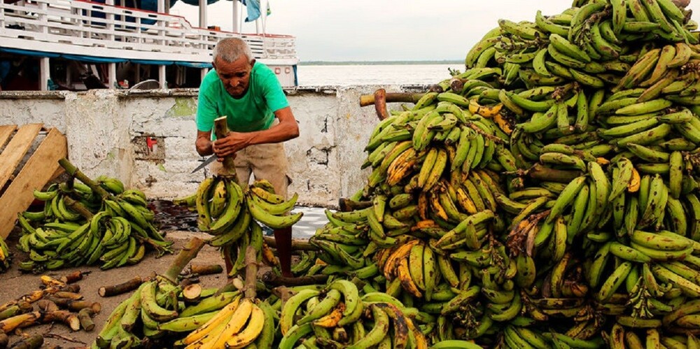 Эквадорский конфликт может привести к дефициту бананов в России