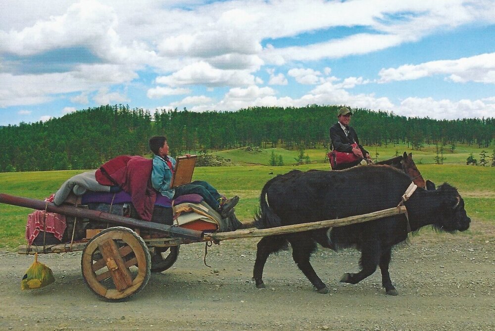 Монгольские коровозаменители