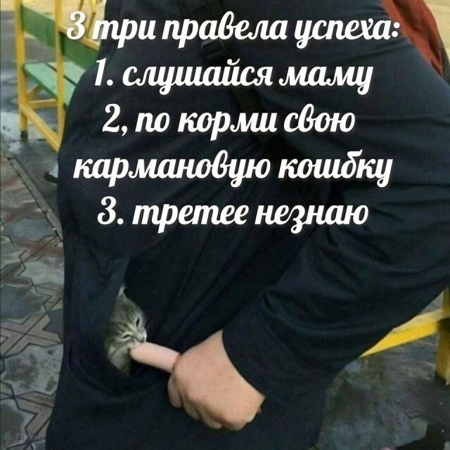 Скрины из соцсетей 