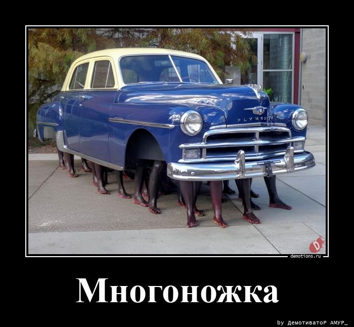 Многоножка