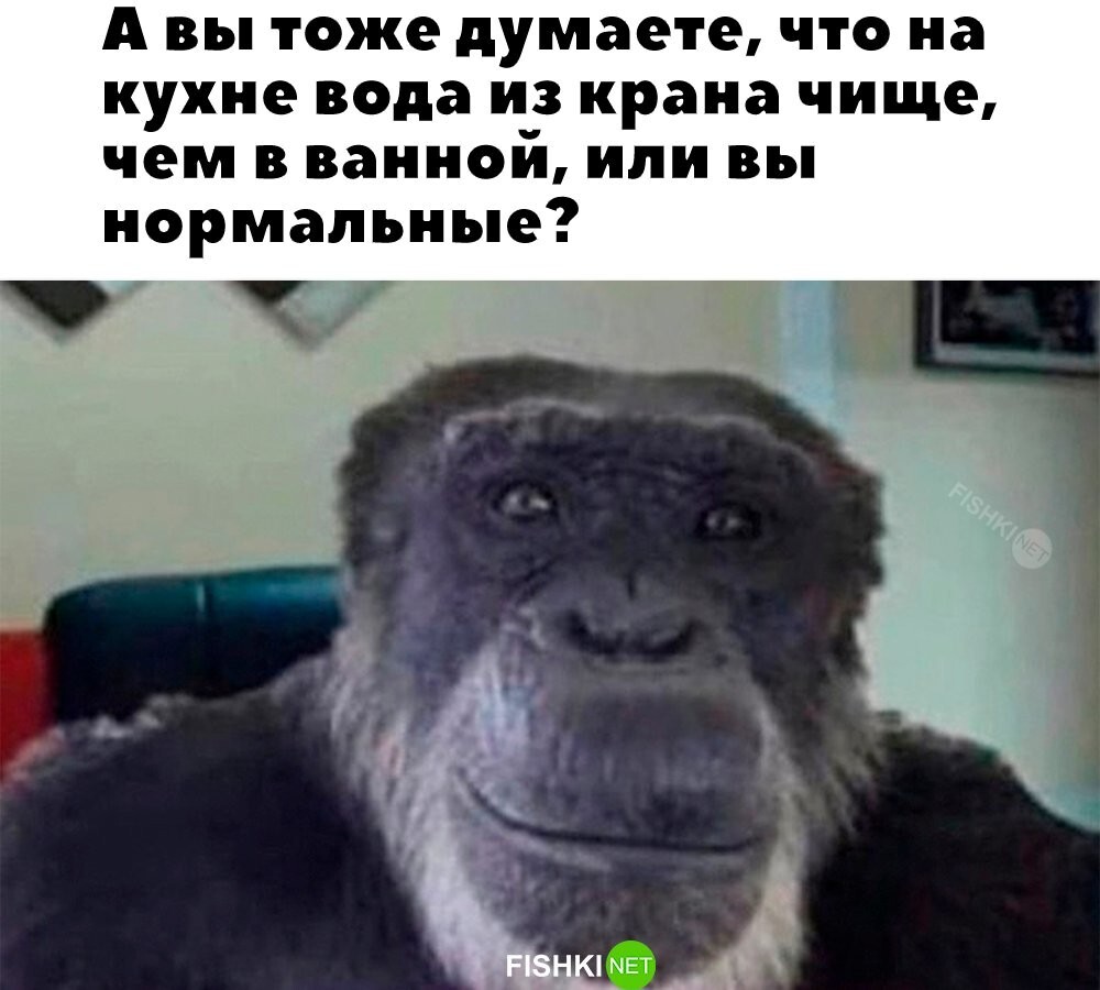 Я нормальный