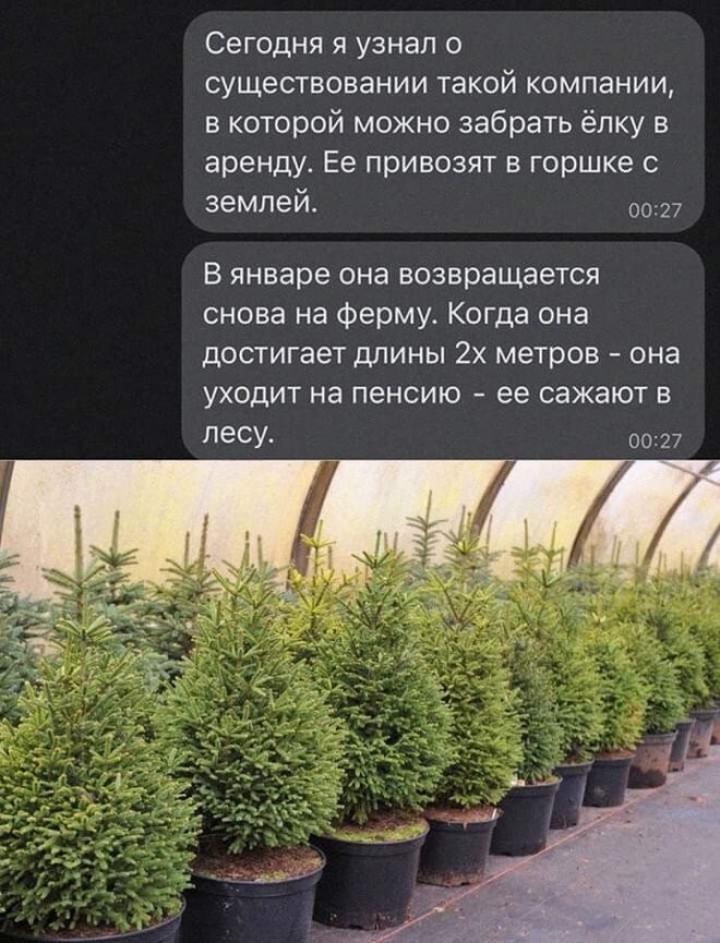 Скрины из соцсетей 