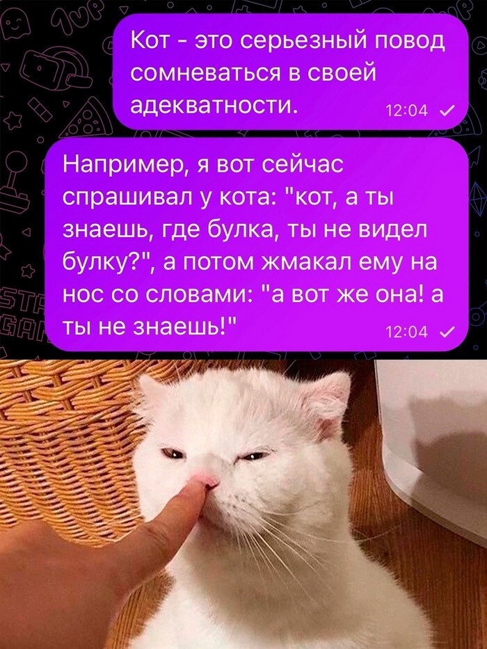 Скрины из соцсетей 