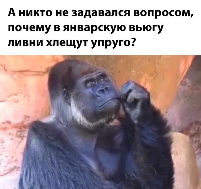 Скрины из соцсетей 