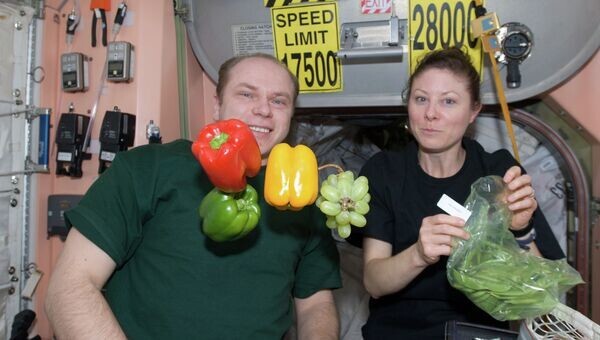 Возможно ли выращивание овощей на МКС и почему американский астронавт получил нагоняй за помидор