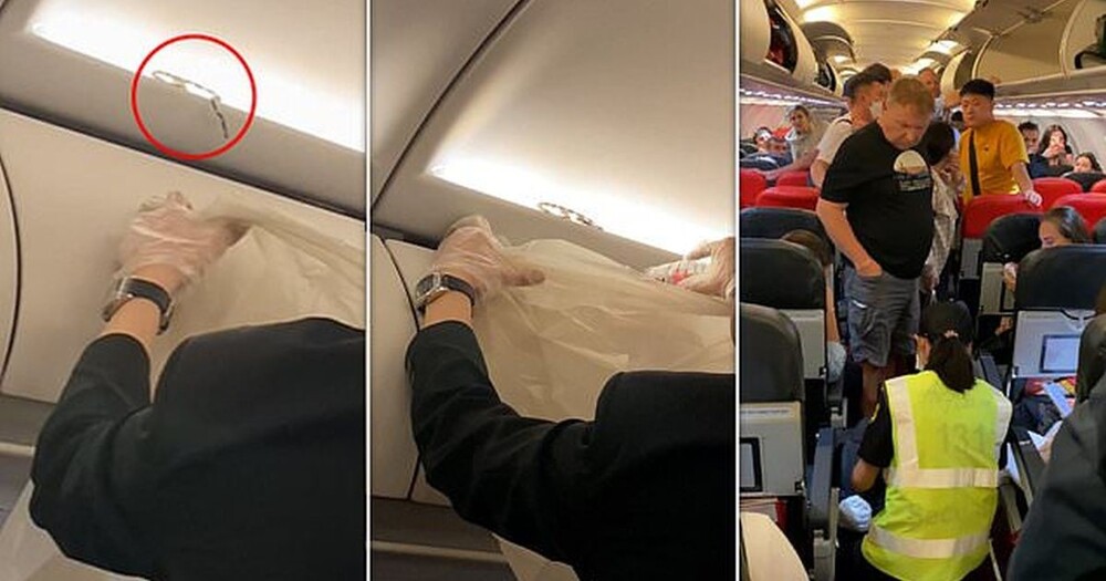 Змея пробралась в самолёт и напугала пассажиров