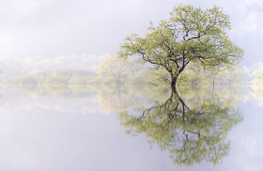 9. "Призрачный лес", фотограф - Takahiro Gamou, Япония