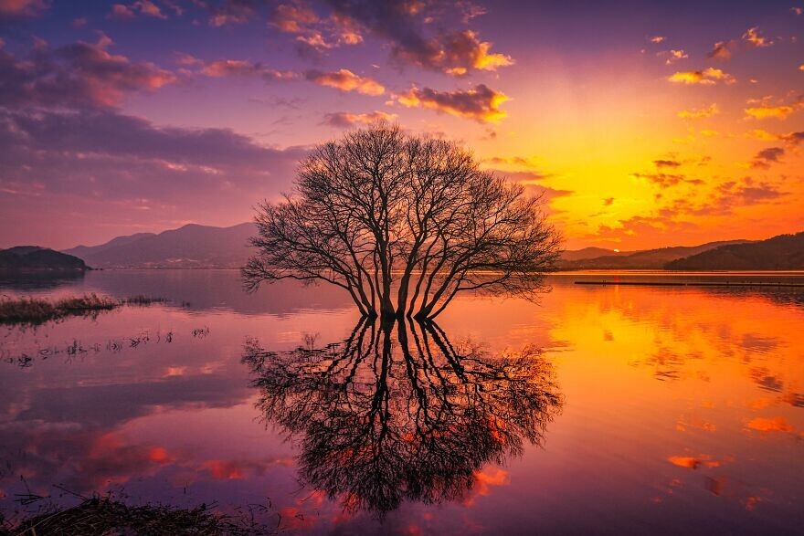10. "Золотой закат на озере", фотограф - Yongseok Chun, Корея