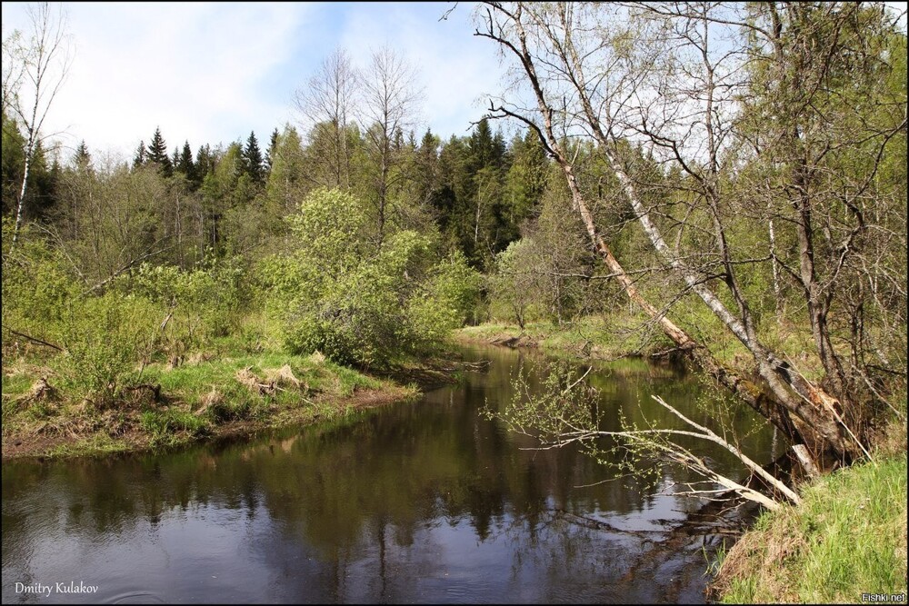 РОЩИНКА (финское Raivolanjoki) – река в Ленинградской области, бассейн Балтий...