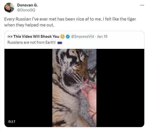 "Русские — с другой планеты!": иностранцы обсуждают видео, на котором женщина кормит тигра с рук