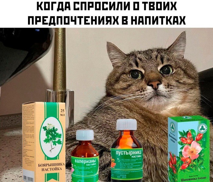 Скрины из соцсетей 