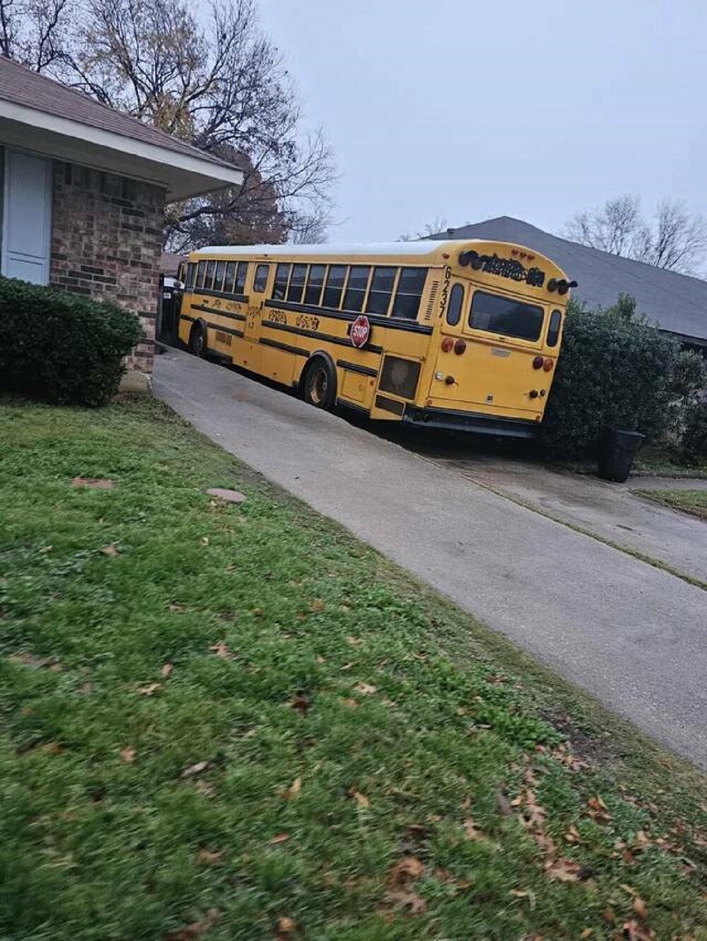 24. "Мой сосед купил школьный автобус"