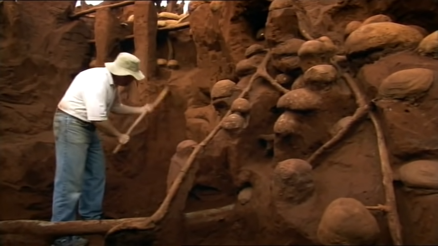 Ученые закачали цемент в заброшенный муравейник и обнаружили подземный мегаполис
