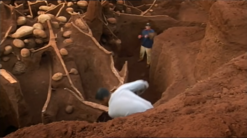 Ученые закачали цемент в заброшенный муравейник и обнаружили подземный мегаполис