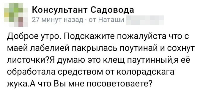 5. Немного подучить язык не помешало бы