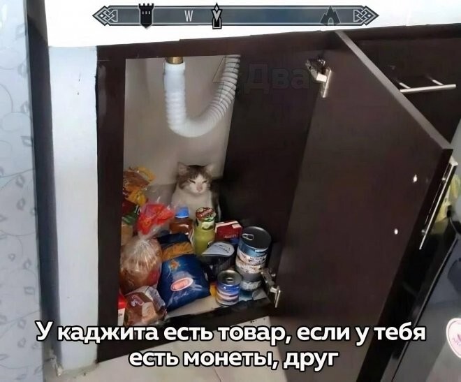 Скрины из соцсетей 