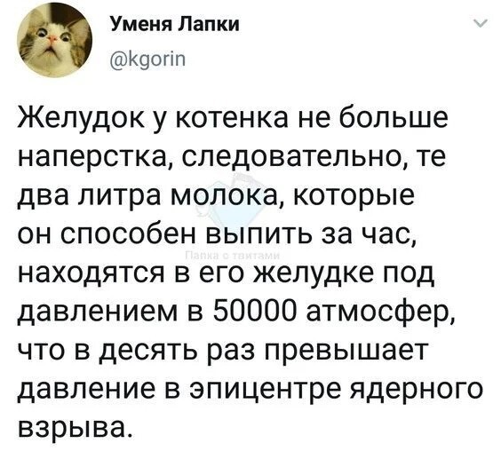 Не ищите здесь смысл. Здесь в основном маразм