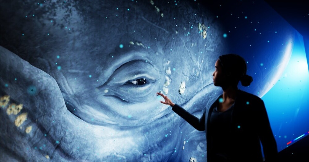 Первый в мире "Голограммный зоопарк", где киты плавают в воздухе