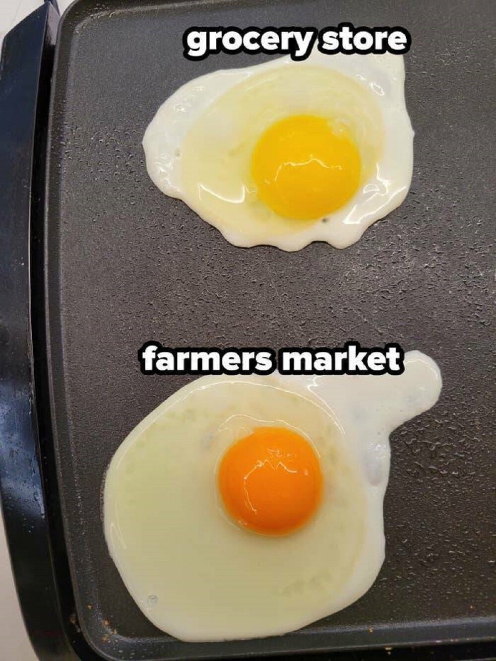 26. Яйца из магазина и фермерского рынка 
