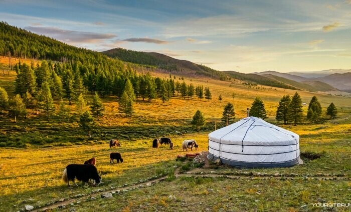 На 98% территории Монголии никто не живет
